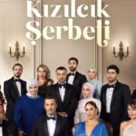 Клюквенный шербет события в 133 серии драматического турецкого сериала